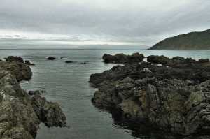 OWHIRO-BAY (15)